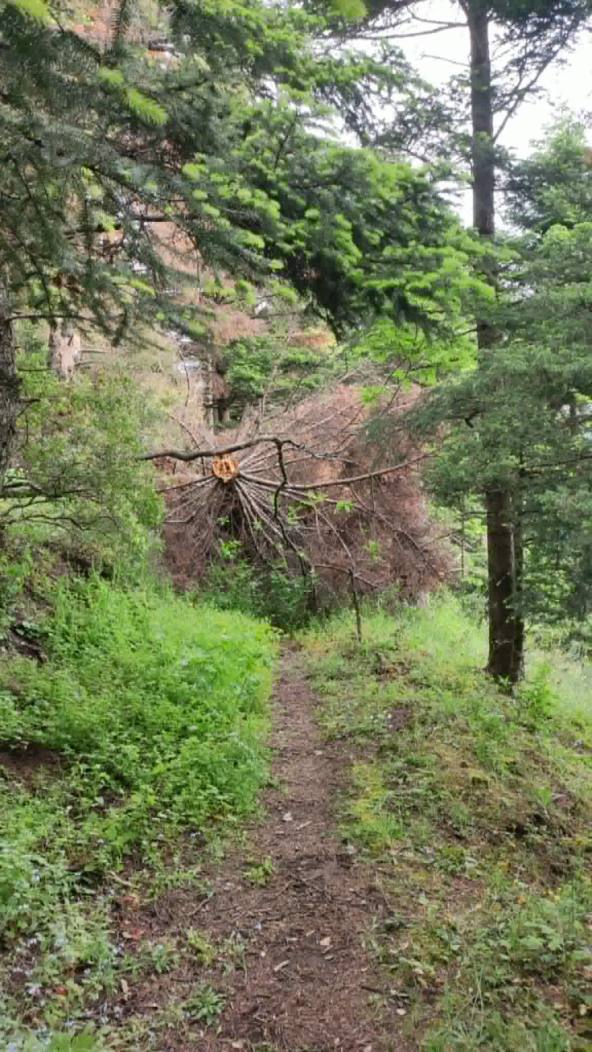 Νέο γεφυράκι στο μονοπάτι Ροδοκάλο