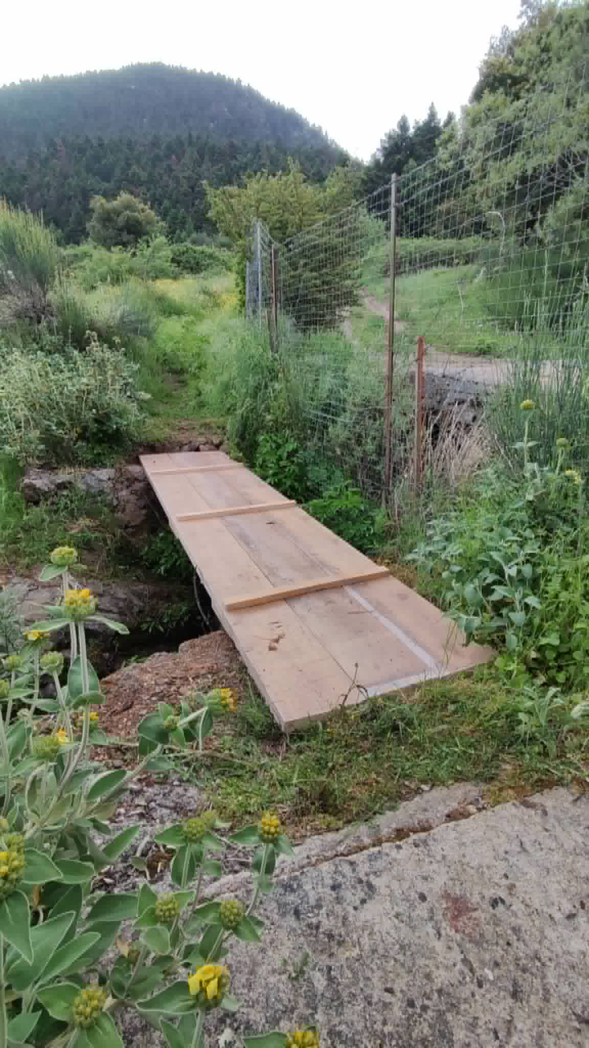 Νέο γεφυράκι στο μονοπάτι Ροδοκάλο