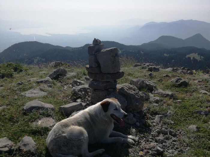 Η Εκκίνηση έως και το Νεοχώρι
