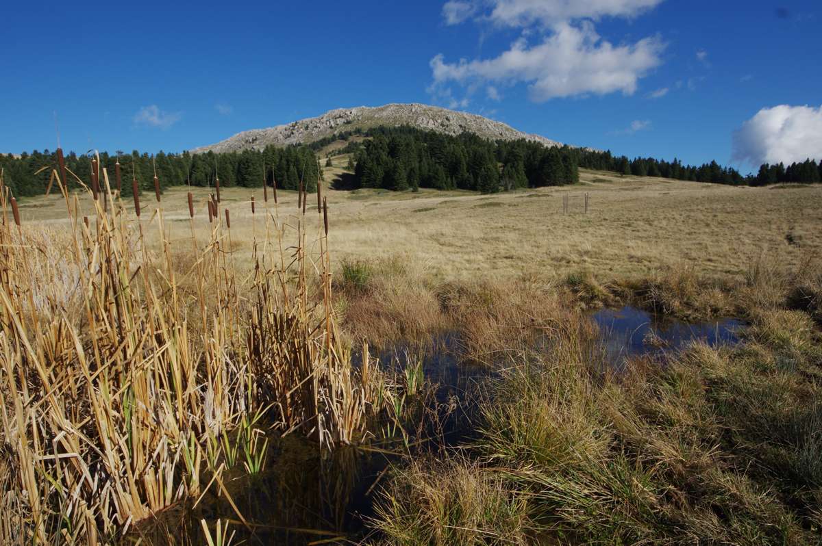 Η Εκκίνηση έως και το Νεοχώρι