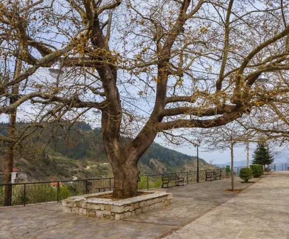 Η Εκκίνηση έως και το Νεοχώρι