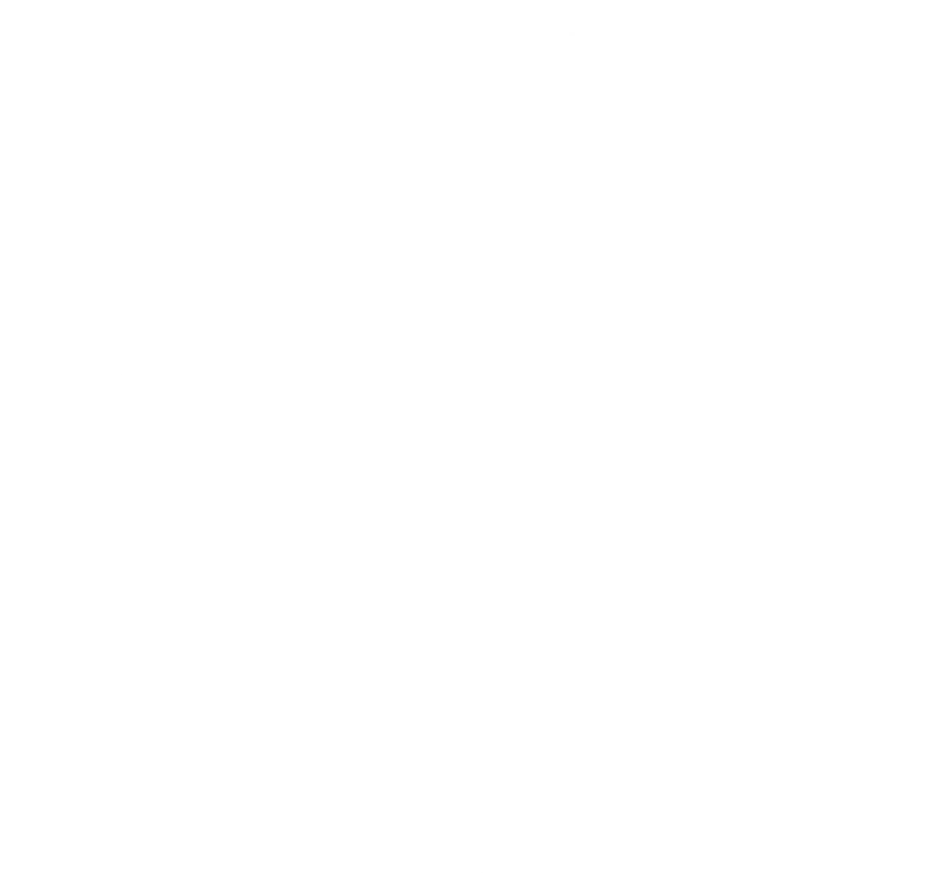 STEREA RUN